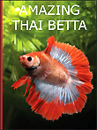 bettabook_e_cover_with_txts